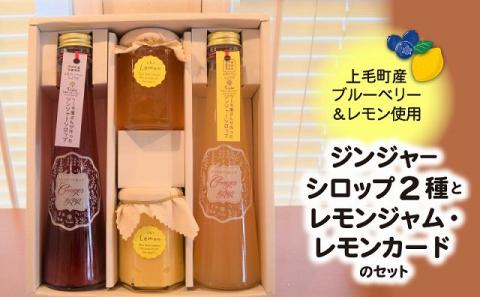 【上毛町産ブルーベリー・レモン使用】ジンジャーシロップ2種とレモンジャム・レモンカートのセット　KT0602