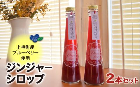【上毛町産ブルーベリー使用】ジンジャーシロップ 2本セット　KT0502