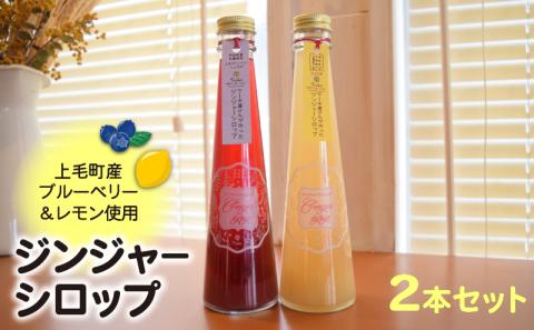 【上毛町産ブルーベリー＆レモン使用】ジンジャーシロップ 2本セット　KT0302