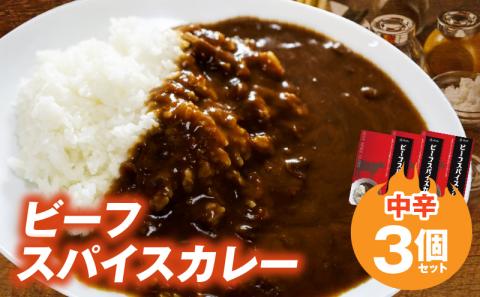 ビーフスパイスカレー3個セット T07205