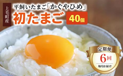 【定期便】かぐやひめ「初たまご」40個　6回（毎月）コース　04T-011