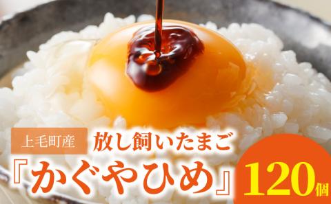 放し飼いたまご『かぐやひめ』120個【福岡上毛町産】 高評価 たまご 120個 かぐやひめ 生卵 鶏卵 コク まろやか 旨み 国産 衛生 品質 管理 徹底 エサ こだわり 放し飼い 九州産 卵かけご飯 オムライス オムレツ チャーハン 親子丼 マフィン プリン ご飯 スイーツ 食品 お取り寄せ グルメ 福岡県 上毛町 送料無料 C00701