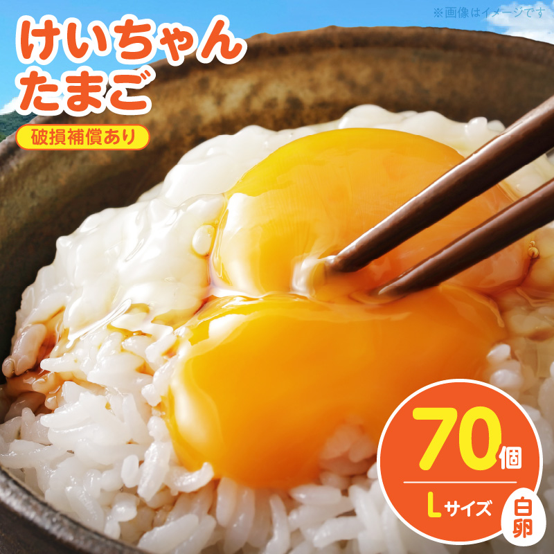 けいちゃんたまご　白　Lサイズ 　70個 C00707