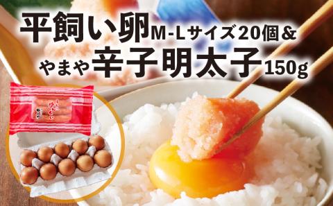 平飼い卵Ｍ～Ｌサイズ20個 ＆やまや辛子明太子150ｇセット【上毛町特別企画】C01202