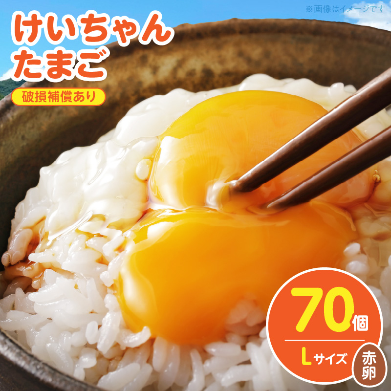 けいちゃんたまご　赤　Lサイズ 　70個 C01507