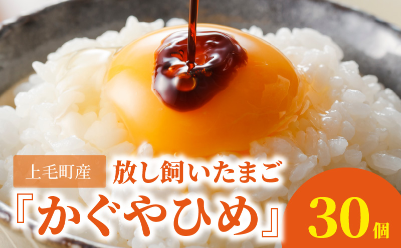 放し飼いたまご『かぐやひめ』30個【福岡上毛町産】　C01706