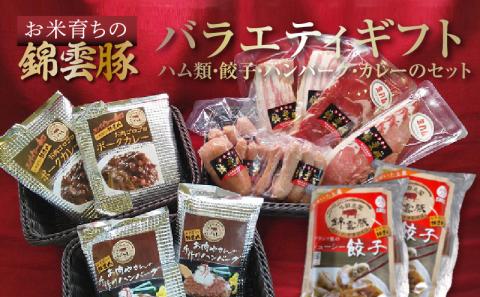 【ブランド豚肉】お米育ちの錦雲豚バラエティギフト（ハム類・餃子・ハンバーグ・カレーのセット）　FN0601