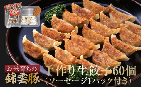【ブランド豚肉】お米育ちの錦雲豚　手作り生餃子60個（ソーセージ1パック付き）　FN0702