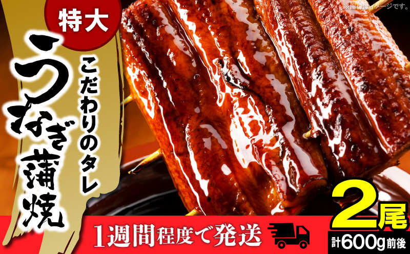 うなぎの蒲焼ビッグサイズ　2尾（計600g前後）K04705