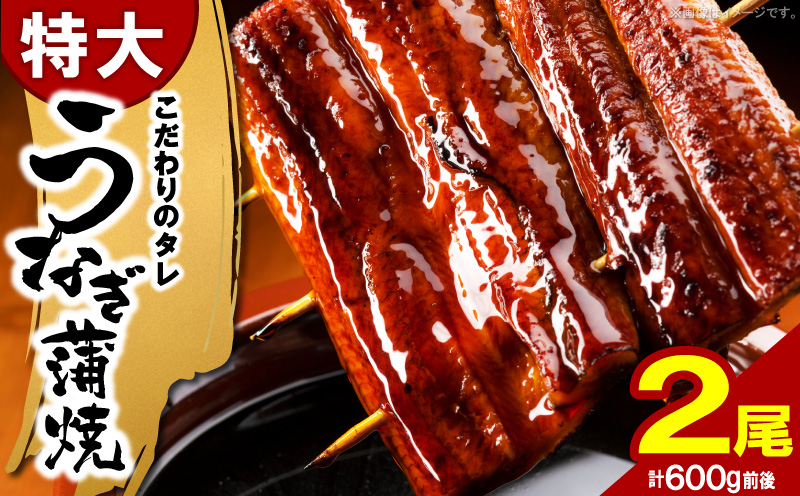 うなぎの蒲焼ビッグサイズ　2尾（計600g前後）K04705
