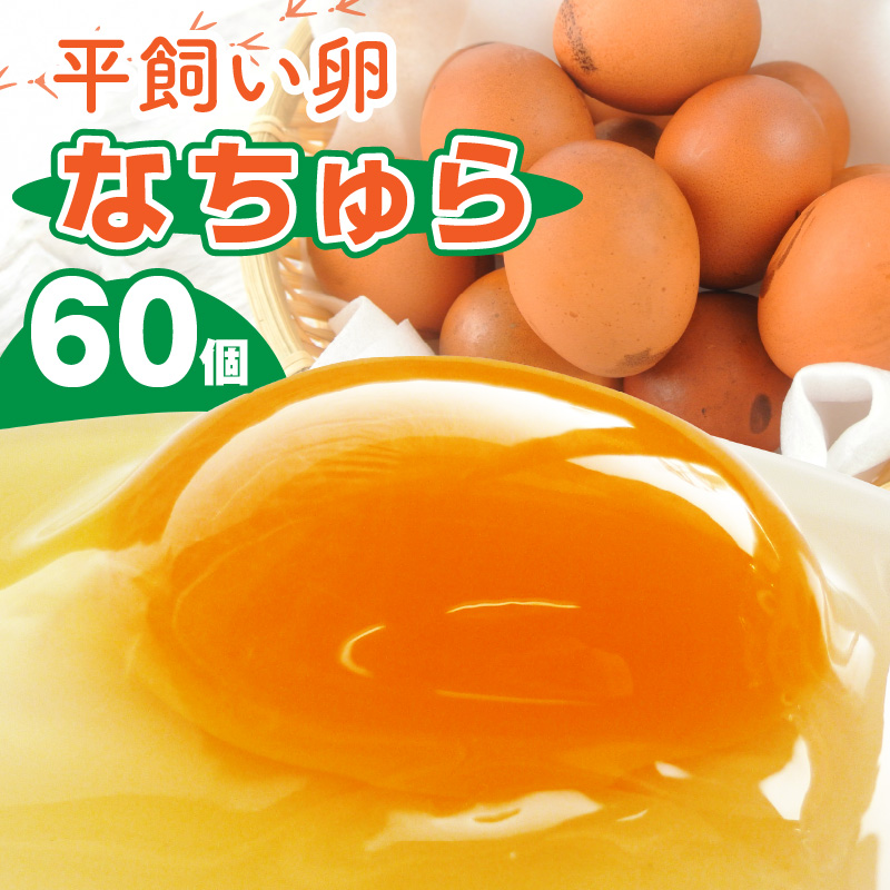 平飼い卵 なちゅら 60個 KJF0206