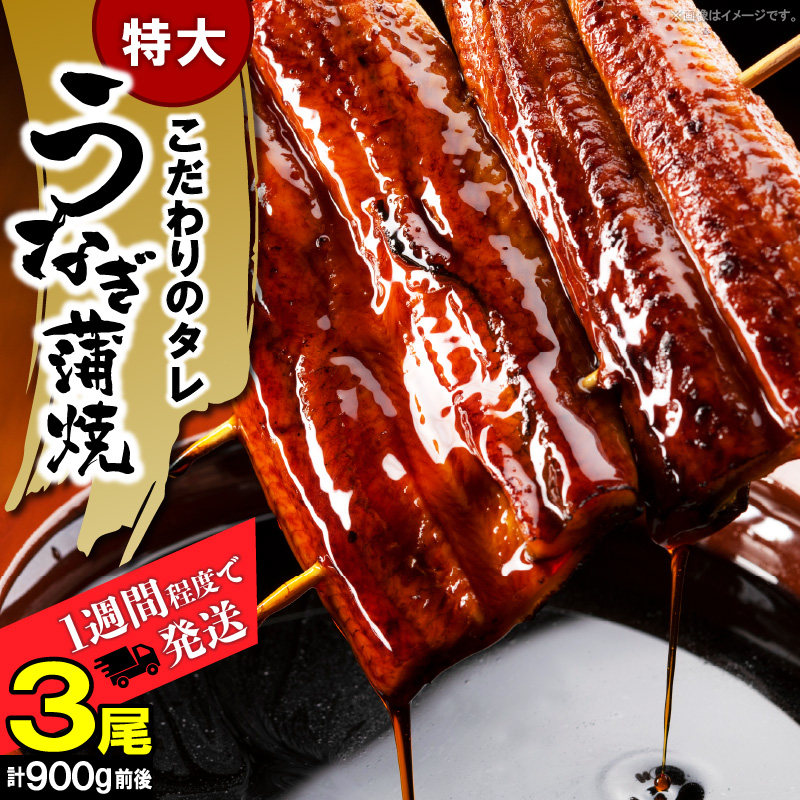うなぎの蒲焼ビッグサイズ 3尾（計900g前後） KP9306