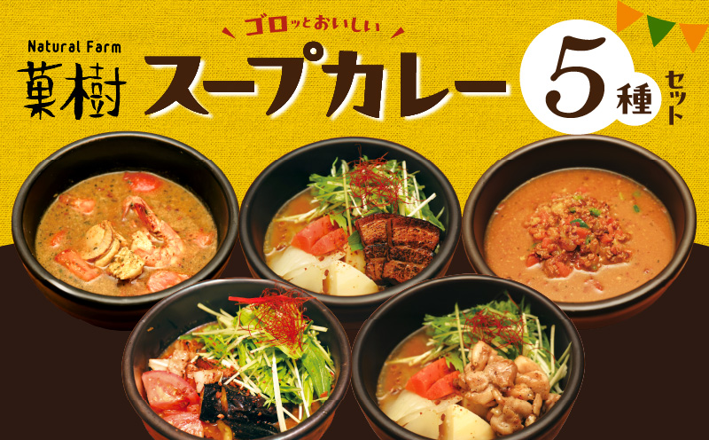 【ナチュラルファーム菓樹】スープカレー 5種セット NK0906