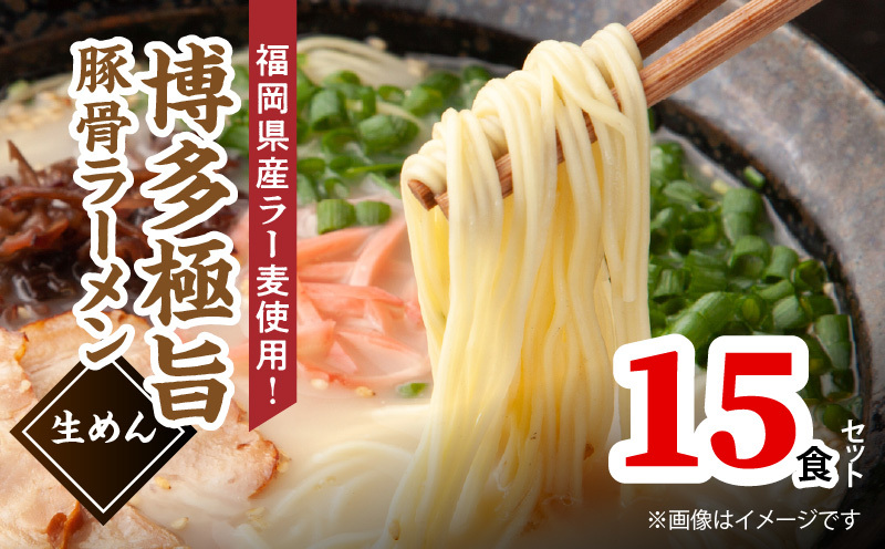 こだわりの味！ 博多極旨 豚骨ラーメン（生めん）15食セット PC5106