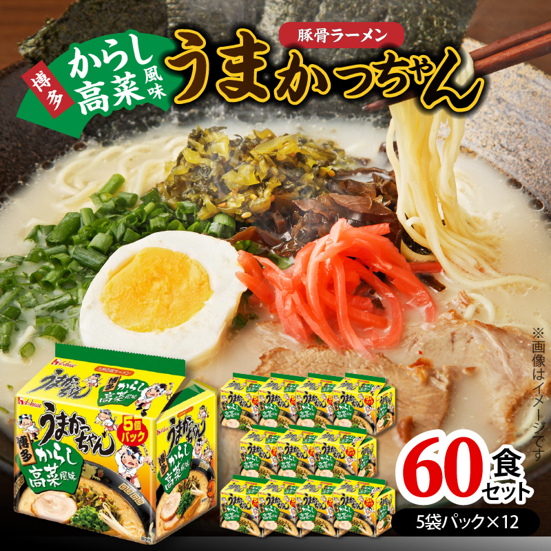 豚骨ラーメン うまかっちゃん 博多からし高菜風味 60食セット（5袋パック×12セット） PC8806