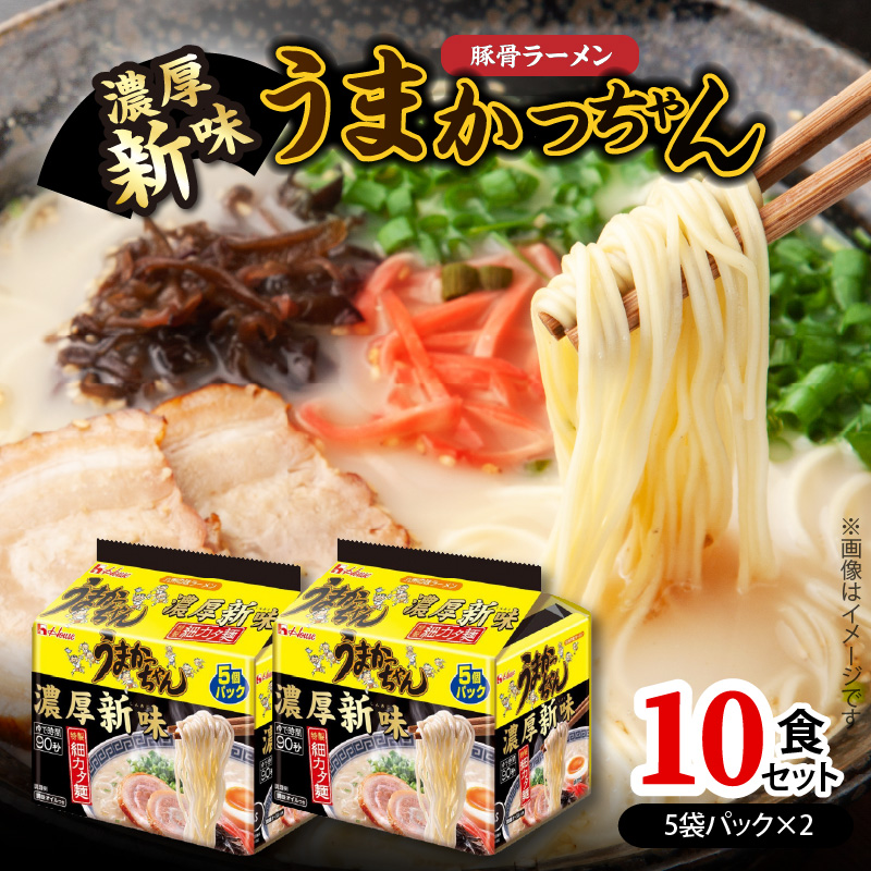 豚骨ラーメン うまかっちゃん 濃厚新味 10食セット（5袋パック×2セット） PC8906