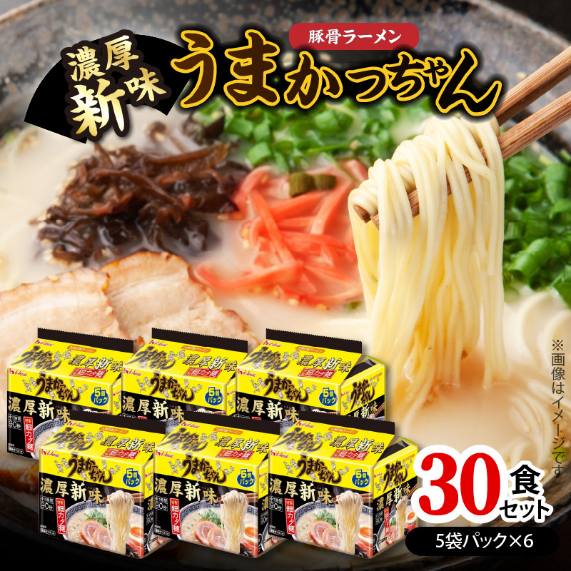 豚骨ラーメン うまかっちゃん 濃厚新味 30食セット（5袋パック×6セット） PC9006