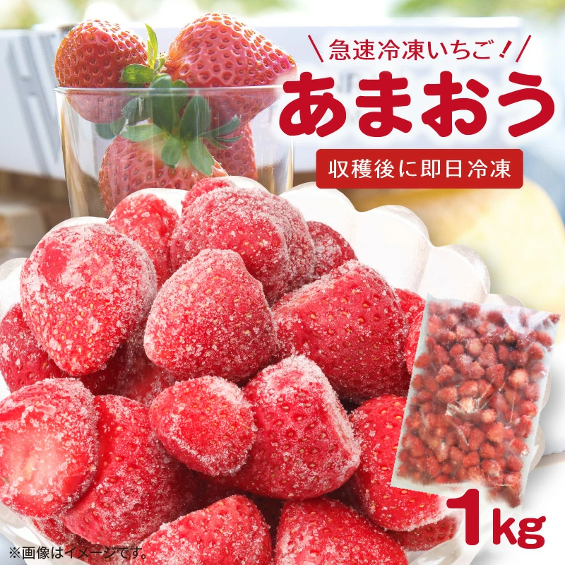 【福岡県産】 急速冷凍いちご あまおう（1kg） R00106