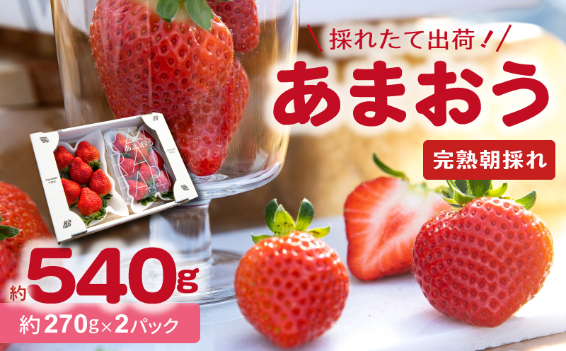 【採れたて出荷】福岡県産あまおう270g×2パック　R00505