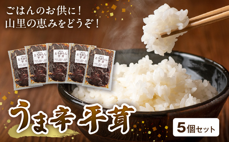 山里の恵み！うま辛平茸５個セット　T05904