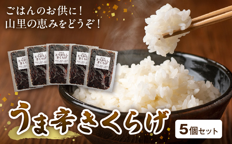 山里の恵み！うま辛きくらげ５個セット　T06004