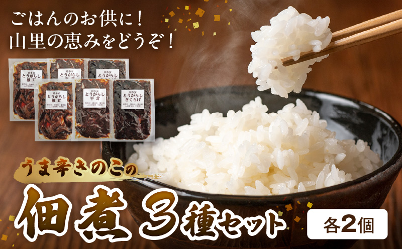 上毛町産　うま辛きのこの佃煮3種（椎茸・平茸・きくらげ）×2セット　T06204