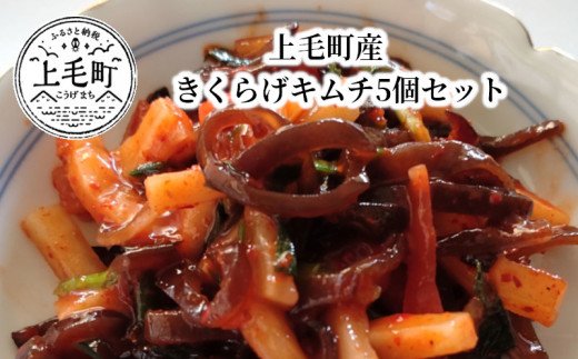 上毛町産　きくらげキムチ5個セット　T06404