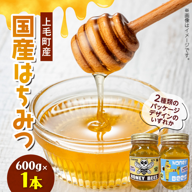 国産はちみつ（上毛町産）600g×1本 T07606