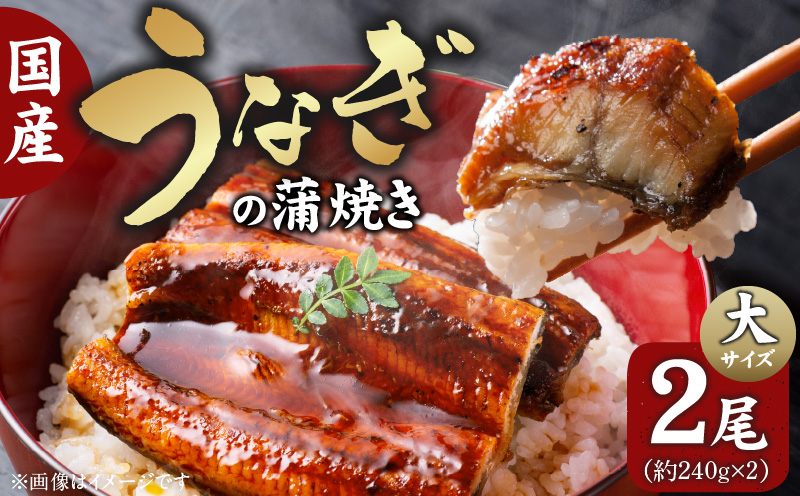 国産うなぎの蒲焼き　大サイズ×2尾 T08106
