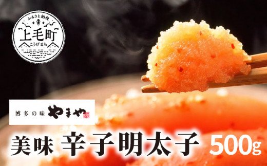 博多の味やまや　美味 辛子明太子　500g　TY0601
