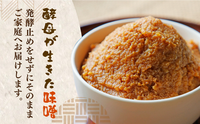 【令和7年10月以降発送】福みそ ( 米味噌 ) 2kg + 福こうじ ( 生こうじ ) 2kg【まんがいいセット】《築上町》【安部味噌製造所】 [ABAF008]