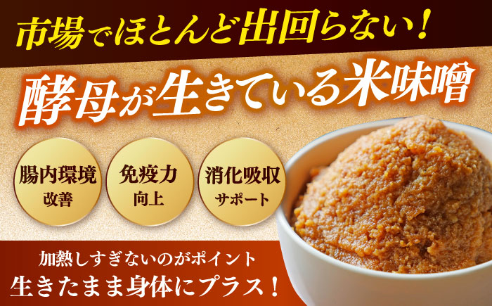 【令和7年10月以降発送】福みそ 米味噌 2kg 《築上町》【安部味噌製造所】 [ABAF021]