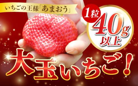 【1月中旬以降順次発送】築上町産 あまおう  12粒《築上町》【エースいちご株式会社】 大粒 あまおう 苺 いちご [ABAG006]