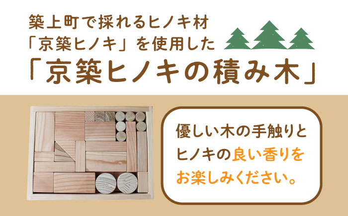 【築上町産木材】京築ヒノキ の 積み木《築上町》【京築ブランド館】 [ABAI020]
