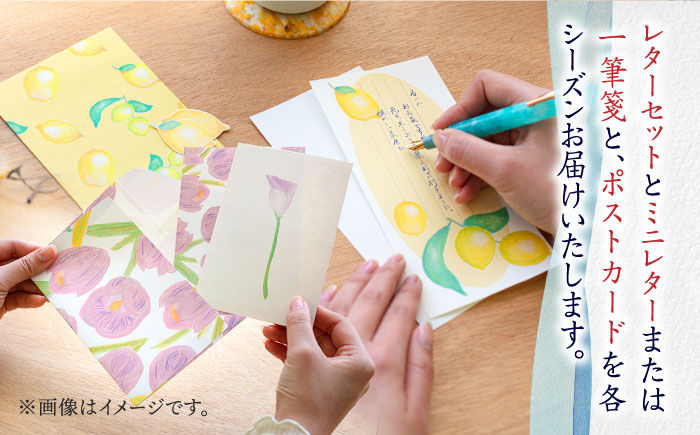 【全4回定期便】季節の レターセット 4種 + 一筆箋 or ミニレター 1枚 + ポストカード 1枚《築上町》【季節の手紙や】 文具 手紙 レター [ABAJ009]