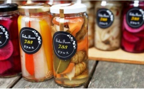 【農家のこだわり野菜使用】おまかせ ピクルス 3本《築上町》【ERBA FARM733】 [ABAP001]