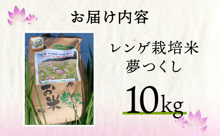 【先行予約】レンゲ 栽培米 夢つくし 10kg 【2025年10月以降順次発送】《築上町》【久楽農園】 [ABAT002] 精米 お米 こめ コメ ご飯