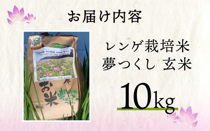 【先行予約】レンゲ栽培米  夢つくし －玄米－（8kg） 【2025年10月以降順次発送】《築上町》【久楽農園】 [ABAT003] 玄米 お米 こめ コメ ご飯