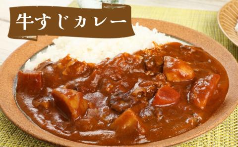 航空自衛隊 築城基地 名物 隊員食堂 カレー ( 中辛 3個 + 牛すじ 2個)《築上町》【NPO法人築上町観光協会】 レトルトカレー [ABAX002]
