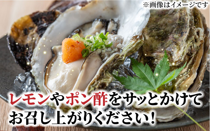 【先行予約:令和5年12月以降発送】ブランド牡蠣 「 豊前海一粒かき (しいだ小粒がき)」 中サイズ 3kg《築上町》【築上町蓄養殖部会】 [ABAY004]