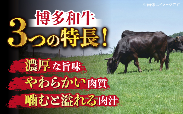 【全6回定期便】【たっぷり大容量！】博多和牛 切り落とし 1000g(500ｇ×2Ｐ）《築上町》【株式会社MEAT PLUS】 [ABBP028]