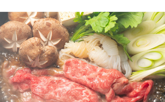 【全6回定期便】【厳選部位使用！】博多和牛しゃぶしゃぶ・すき焼き用500g《築上町》【株式会社MEAT PLUS】 [ABBP040]