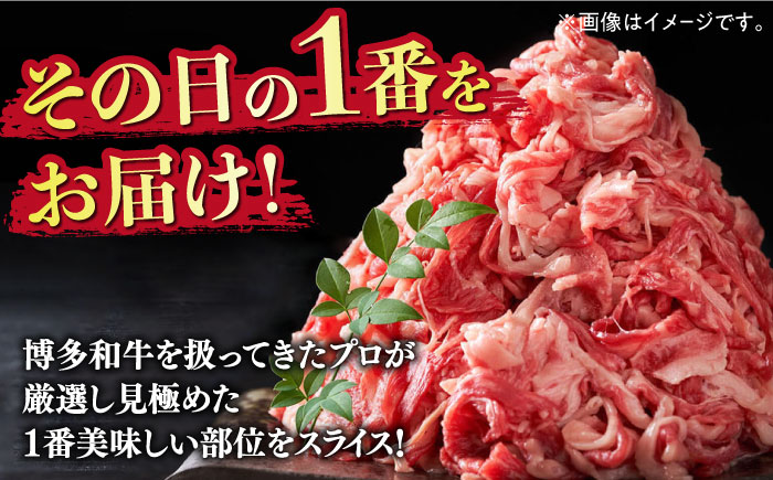 【訳あり】博多和牛 切り落とし 5kg(500g×10p）《築上町》【株式会社MEAT PLUS】 [ABBP066]