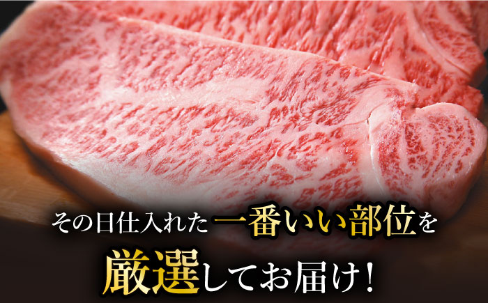 【全12回定期便】【訳あり】博多和牛 サーロインステーキ ＆ あまおう セット1.3kg《築上町》【株式会社MEAT PLUS】 [ABBP105]