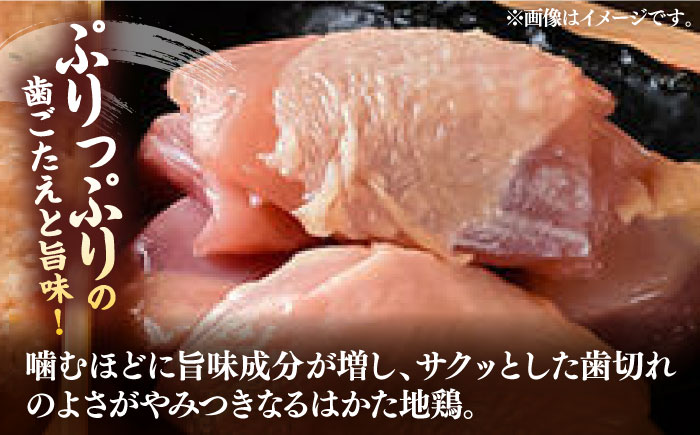 【全6回定期便】はかた地鶏モモムネセット 2kg（1kg×2p）《築上町》【MEAT PLUS】鶏 鶏肉 もも 胸 [ABBP134]