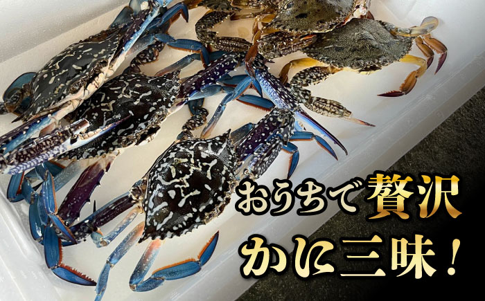 カニ　美芸　他　蟹 特大】毛ガニ 570g 前後 北海道産 姿 味噌 けがに 毛がに カニ 蟹 かに