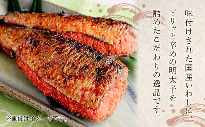 【全3回定期便】ピリ辛 いわし明太6尾《築上町》【株式会社マル五】 [ABCJ075]