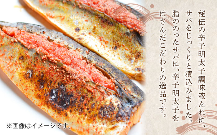 【全3回定期便】さば明太6枚・いわし明太6尾セット《築上町》【株式会社マル五】 [ABCJ081]