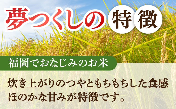 福岡夢つくし5kg×2袋《築上町》【株式会社オカベイ】  [ABCT002] 精米 米 ご飯 ごはん こめ コメ