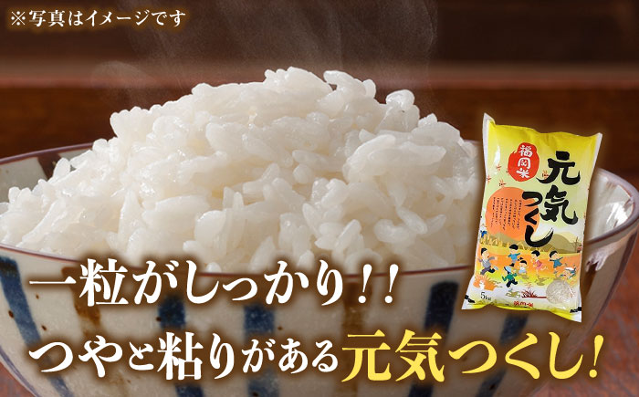 【先行予約】【令和7年産】福岡県産ブランド米「元気つくし」白米 10kg (5kg×2袋)【2025年11月以降順次発送】《築上町》【株式会社ゼロプラス】 [ABDD003] お米 白ご飯 元気つくし ブランド米 おにぎり